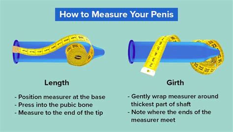 cock photo|Shown Actual Size: A Penis Shape & Size Lowdown